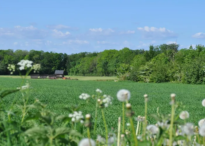 Koebenhovedskov Nocleg ze śniadaniem Rødding